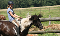 Reiten auf dem Reiterhof Otter
