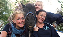Das Team vom Reiterhof Otter mit Pferd