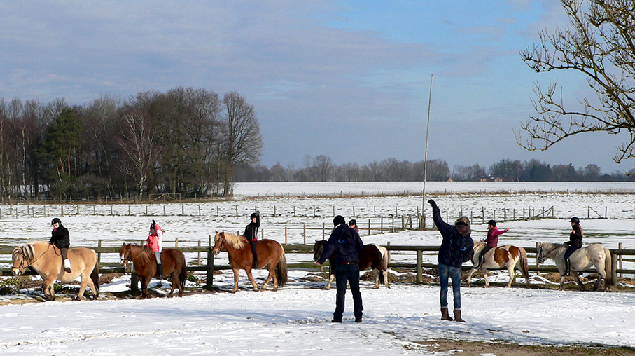 Ferien auf dem reiterhof